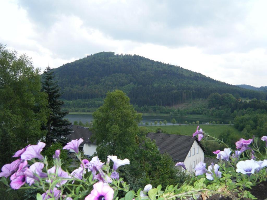 Schoenblick * Winterberg