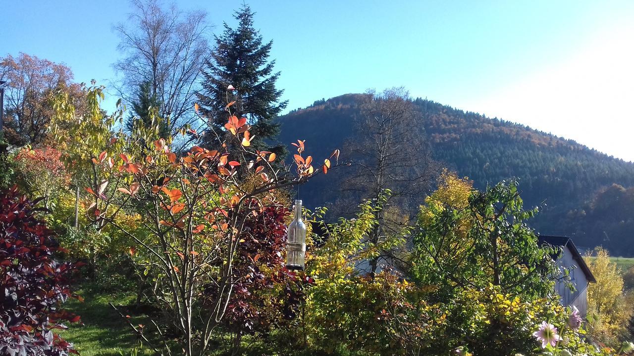 Schoenblick Apartment