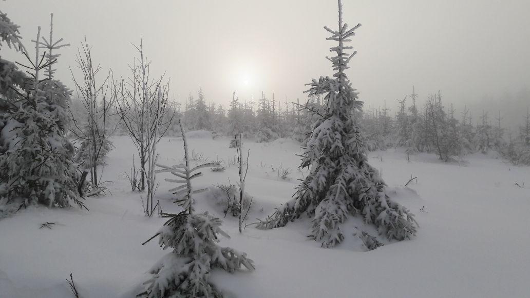 Schoenblick * Winterberg