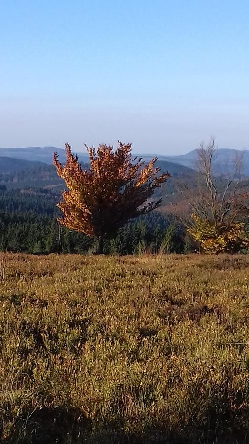 Schoenblick * Winterberg